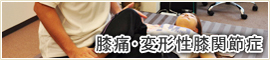 膝痛・変形性膝関節症